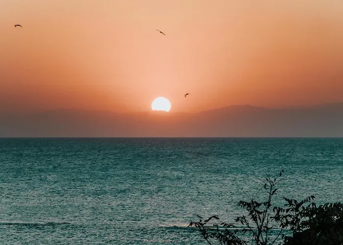 Meni Rhodes עיר רודוס