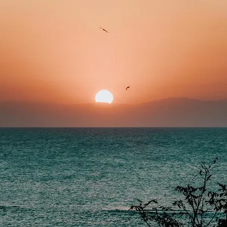 Meni Rhodes Rhodes City